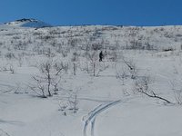 VID_20190407_155245719.webm