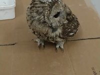 2019-08-30%2023.15.52.webm