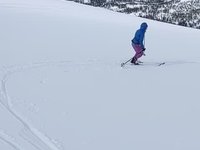 VID_20200503_162644243.webm