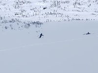 VID_20200503_163525447.webm