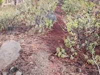 VID_20220127_103629515.webm