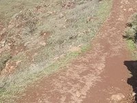 VID_20220128_112547886.webm