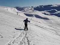 VID_20230401_171144894.webm