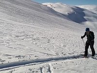 VID_20230402_143226663.webm