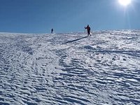 VID_20230402_162533708.webm