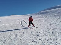 VID_20230402_165757364.webm