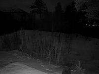 001%20Elvatun%201-15-2025%2C%202.26.17am%20GMT%2B1%20-%201-15-2025%2C%203.42.36am%20GMT%2B1.webm