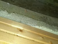 VID_20251208_191437939.webm